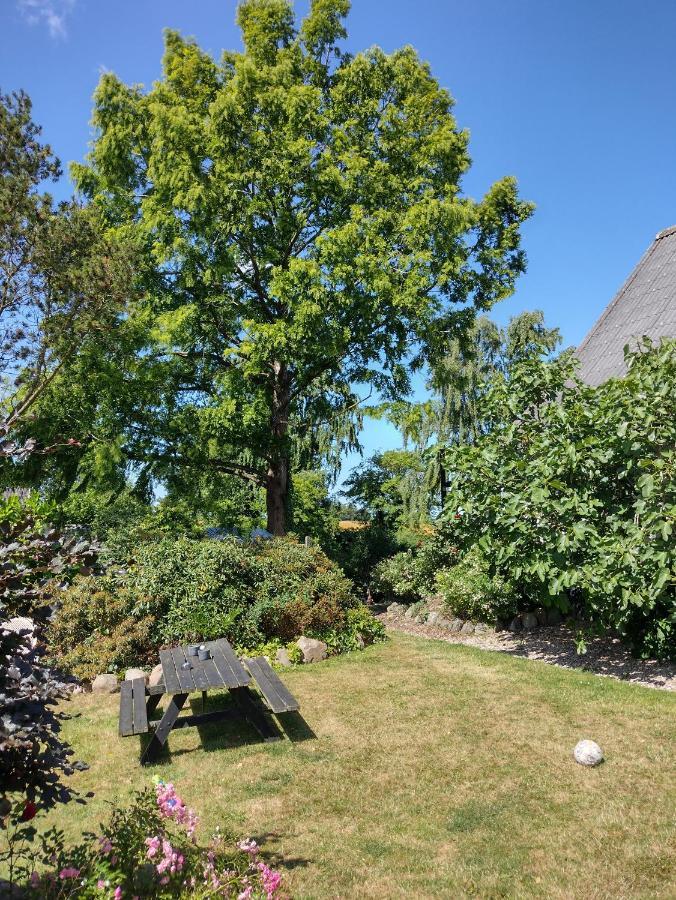 Den Gamle Apotekergaard Bed & Breakfast Hong Exterior photo
