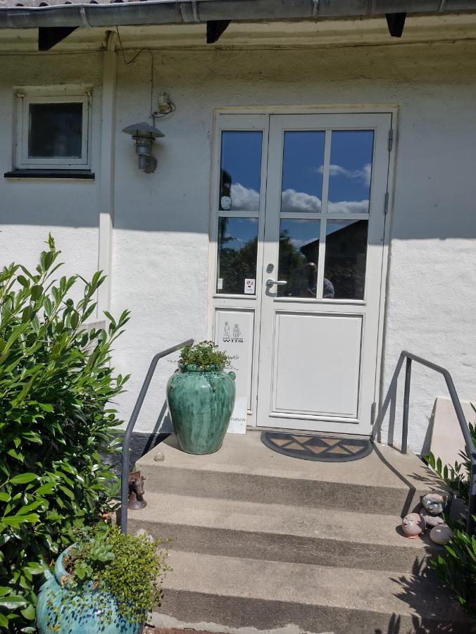 Den Gamle Apotekergaard Bed & Breakfast Hong Exterior photo